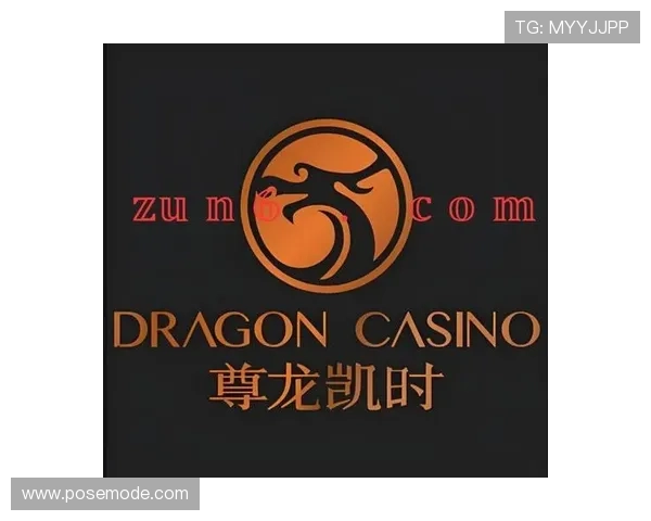 尊龙时凯平台入口：平台入口更新公告及常见登录问题的解决方法